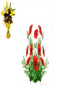 tập đọc lớp 4:hoa học trò