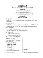 GIAO AN LOP 1( CKTKN- CO DU 3 MUC TIEU) - VIEN