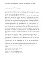 câu chuyện tinh huóng giáo dục đạo đức