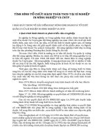 TÌNH HÌNH TỔ CHỨC HẠCH TOÁN TSCĐ TẠI XÍ NGHIỆP IN NÔNG NGHIỆP VÀ CNTP