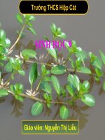 thường biến  moi