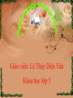 su sinh san cua thuc vat co hoa