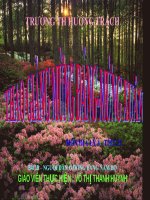 Nguoi dan o db nam bo Huong Trach