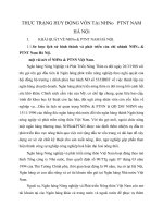 THỰC TRẠNG HUY ĐỘNG VỐN TẠi NHNo   PTNT NAM HÀ NỘi