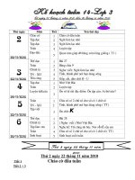 giáo án tuần 14-Lớp 3.CKTKN( Hường)