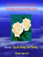 Bài giảng ngữ văn 6