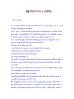 Bài giảng Bệnh cúm A(H1N1)