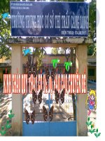 chuyên đề Mỹ thật