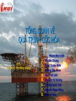 qía trình cốc hóa