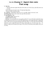 tiết 20 - trai sông