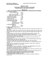 bao cao tong ket cong tac dang 2010