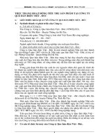 THỰC TRẠNG HOẠT ĐỘNG TIÊU THỤ SẢN PHẨM TẠI CÔNG TY QUE HÀN ĐIỆN VIỆT - ĐỨC