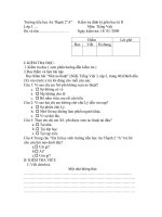 De Kiem Tra Giua Hoc Ki II Lop3 mon TV