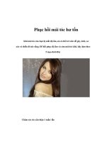 Phục hồi mái tóc hư tổn