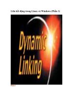 Liên kết động trong Linux và Windows (Phần 1)