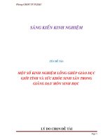 skkn gioi tinh thcs cuc hot 10-11