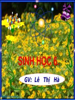 bai 26-sih san sinh duong tu nhien