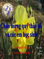 bài dự thi GV giỏi môn sinh cấp tỉnh