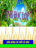 tiet 26 bai 25 nhen su da dang cua hinh nhen