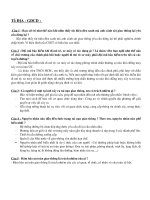 Câu hỏi Nét đẹp thanh niên