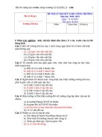 DE THI NANG LUC GVG_2010