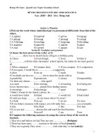 Đề thi mẫu HSG tỉnh môn Anh