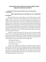 NGÂN HÀNG NGOẠI TH¬ƯƠNG VỚI HOẠT ĐỘNG THẨM ĐỊNH TÀI CHÍNH DỰ ÁN ĐẦU TƯ