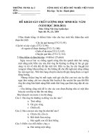 ĐỀ KIỂM TRA TIẾNG VIỆT 3 (ĐỌC HIỂU)