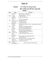 giao an tuan 12 lop 5