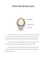 Bướu lành tiền liệt tuyến