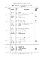 Giao an l5- TUAN 17-CKTKN-GDMT
