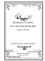 ke hoach ca nhan 2010-2011 day du ca nam