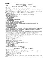 Giáo án 4 - Tuần 2