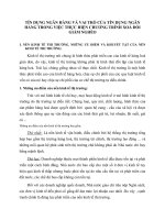 TÍN DỤNG NGÂN HÀNG VÀ VAI TRÒ CỦA TÍN DỤNG NGÂN HÀNG TRONG VIỆC THỰC HIỆN CHƯƠNG TRÌNH XOÁ ĐÓI GIẢM NGHÈO