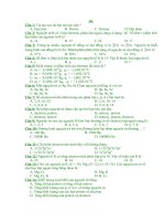 de kiem tra 1 tiet 10(co ban)lan 1