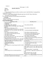 Giáo Án L3 Tuần 19(cktkn)