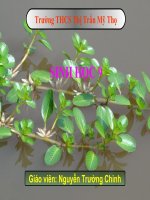 Bài 25: Thường biến