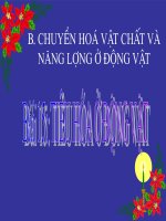 bài 15: tiêu hóa ở động vật