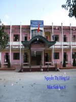 bài 19 dac diem ben ngoài cua la