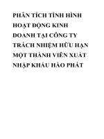 PHÂN TÍCH TÌNH HÌNH HOẠT ĐỘNG KINH DOANH TẠI CÔNG TY TRÁCH NHIỆM HỮU HẠN MỘT THÀNH VIÊN XUẤT NHẬP KHẨU HÀO PHÁT