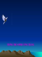 LUYỆN TẬP các pp phân tích đa thức thành nhân tử