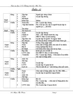 Giáo án 2 buôit tuần 13