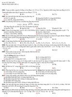 de co dap an thi hk i k12