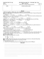 3 DE KT VL 6 + DAP AN