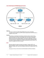 Examining the DR/BDR Election Process