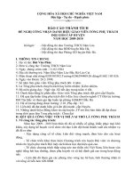 báo cáo thành tích TPT