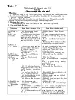 GA 5. TUAN11(3cot).chitiet