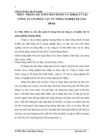 THỰC TRẠNG KẾ TOÁN BÁN HÀNG VÀ XĐKQ TT TẠI CÔNG TY CỔ PHẦN VẬT TƯ NÔNG NGHIỆP QUẢNG BÌNH