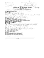 Đề thi HK I Vật lý 8