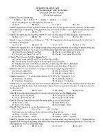 Hoa 10 Thi thu HKI02